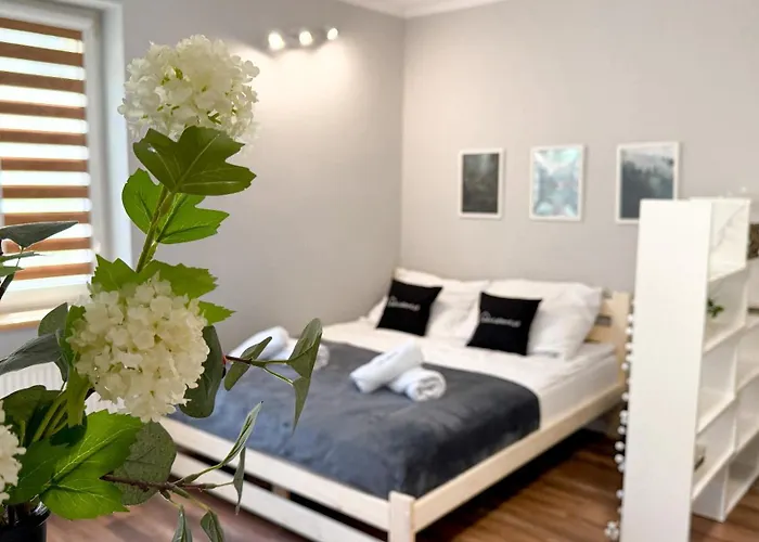 Quiet Base By Libertarent